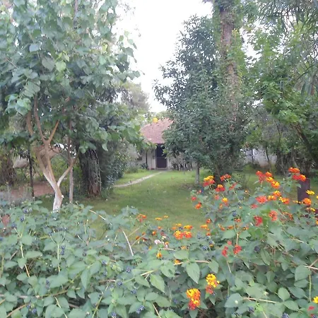 Halil Campsite Cirali