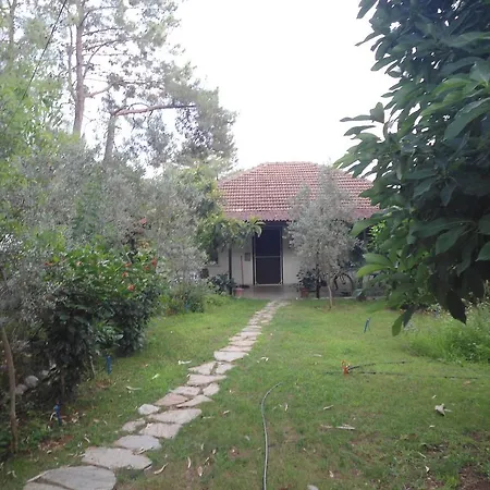 Villa Halil Bungalow * Çıralı