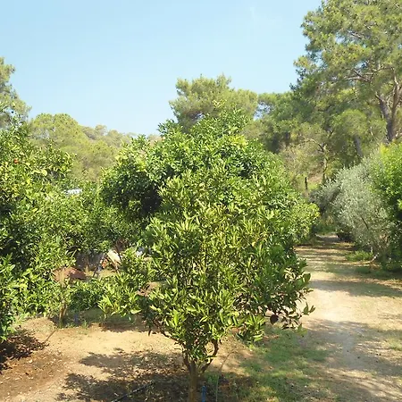 Villa Halil Bungalow キャンプ場 *
