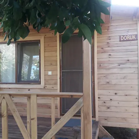 キャンプ場 Halil Çıralı