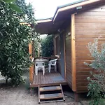 Halil * Çıralı