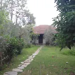 Halil * Çıralı